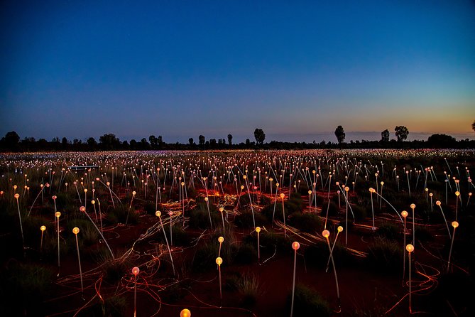 Uluru (Ayers Rock) Field of Light Sunrise Tour - Should you book the Uluru Field of Light sunrise tour?