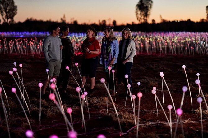 Uluru (Ayers Rock) Field of Light Sunrise Tour - Field of Light: 50,000 spheres, real atmosphere, and a guided walkthrough