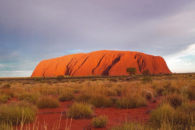 Uluru (Ayers Rock) Sunset Tour - Uluru at Sunset: The Viewing Area Setup That Helps You Enjoy It