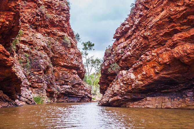 Uluru (Ayers Rock) to Alice Springs One-Way Shuttle - Mount Ebenezer Road House: The Best Human-Scale Stop on the Route