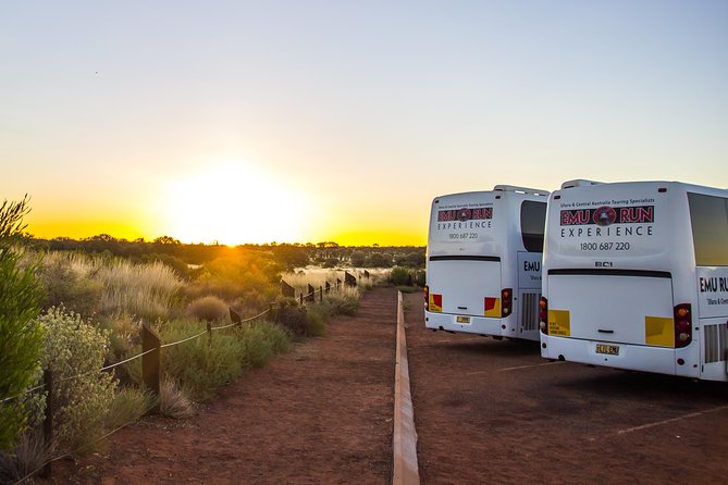 Uluru Experience with BBQ Dinner - Sunset BBQ dinner with sparkling wine: the payoff and the fly reality