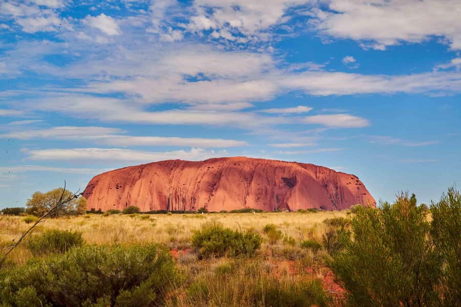 Uluru: Guided Walking Tour at Sunrise with Light Breakfast - Key Highlights to Know Before You Go