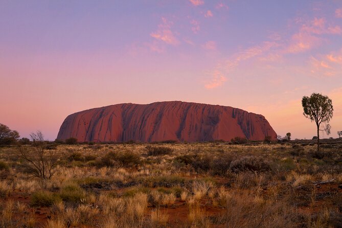 Uluru Kata Tjuta 1 Day 1 Night Outback Experience from Ayers Rock - Your overnight setup: safari tent comfort or swag style
