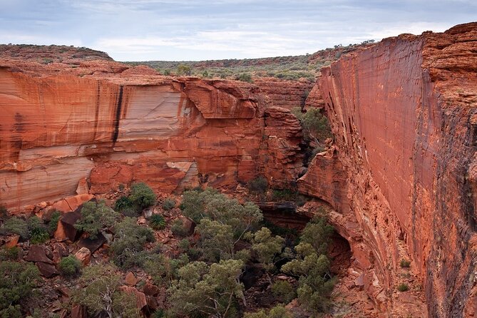 Uluru, Kata Tjuta and Kings Canyon Camping Safari from Ayers Rock - Uluru sunsets and sunrise: seeing one rock twice the right way