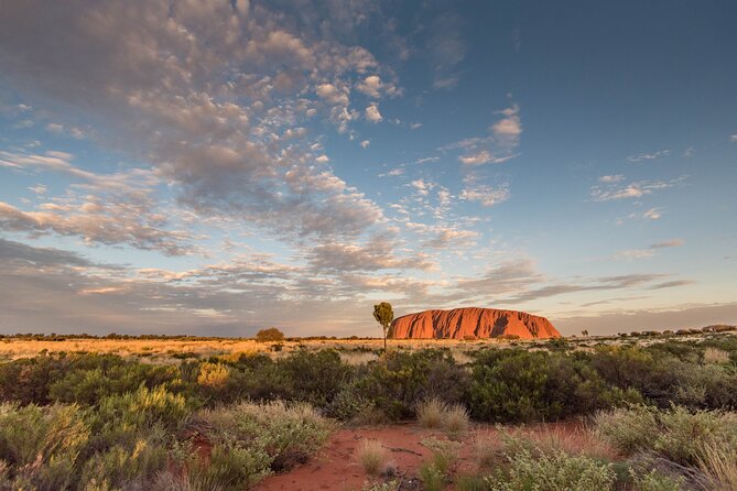 Uluru, Kata Tjuta and Kings Canyon Camping Safari from Ayers Rock - Kings Canyon campsite night: what camping is like in the park region