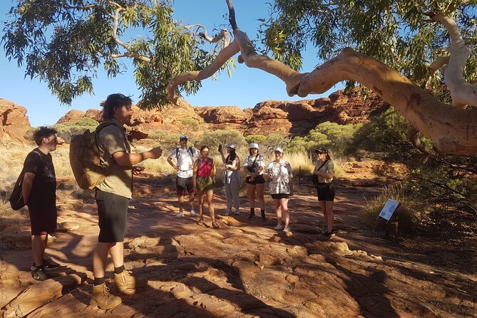 Uluru, Kata Tjuta and Kings Canyon Camping Safari from Ayers Rock - Who this tour suits best (and who should think twice)