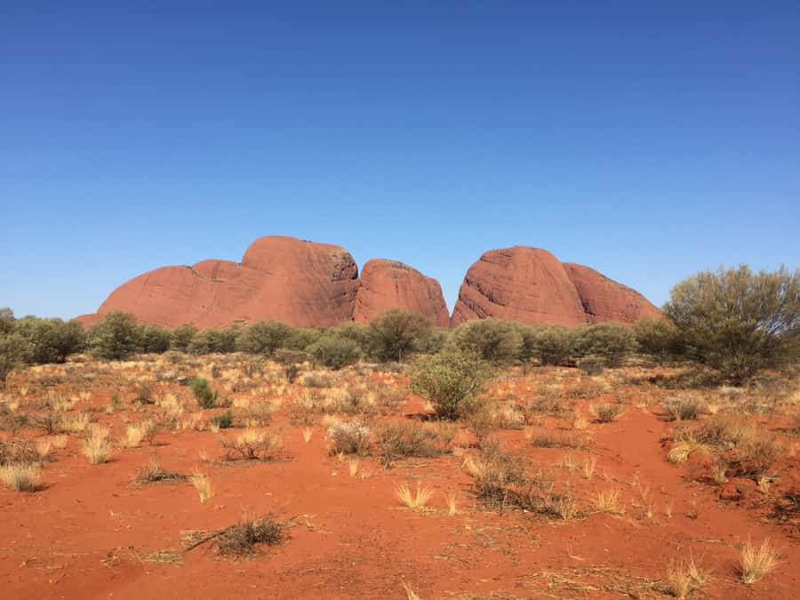Uluru, Kata Tjuta & Kings Canyon Safari Camping Tour - Guides, Timing, and the All-Terrain Vehicle Reality