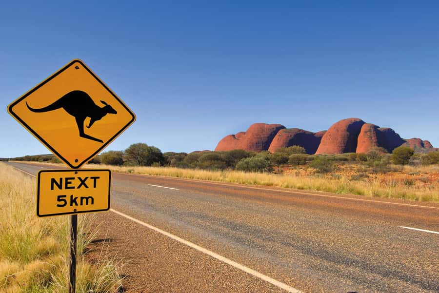 Uluru & Kata Tjuta Safari Camping Tour - Sunset snack to camp dinner: timing that makes the Red Centre feel cinematic