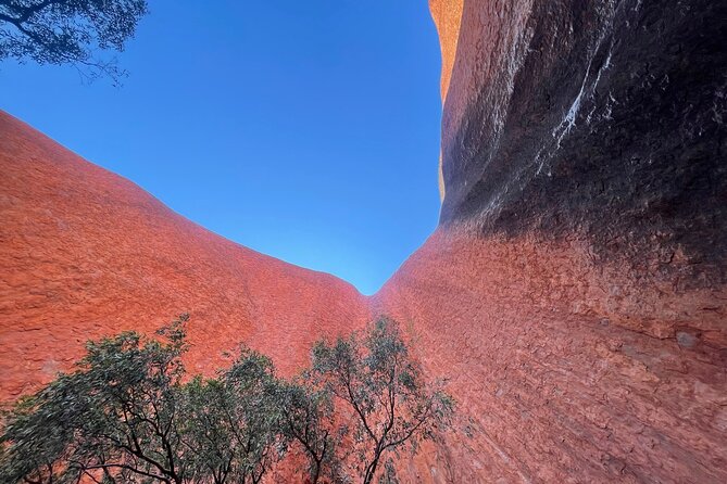 Uluru Private Tour Aboriginal guided option - Kuniya Walk: variation in Uluru stories, not a one-size explanation