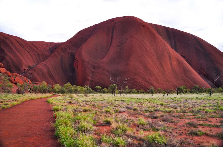 Uluru: Sacred Sites & Sunset Tour with Wine & Cheeseboard - Kuniya Walk and Mutitjulu Waterhole: the short walk with big cultural gravity