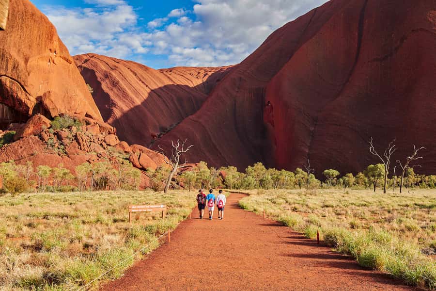 Uluru: Sacred Sites Tour + Sparkling at Sunset & BBQ Dinner - Kuniya Walk to Mutitjulu Waterhole: when you want one step closer