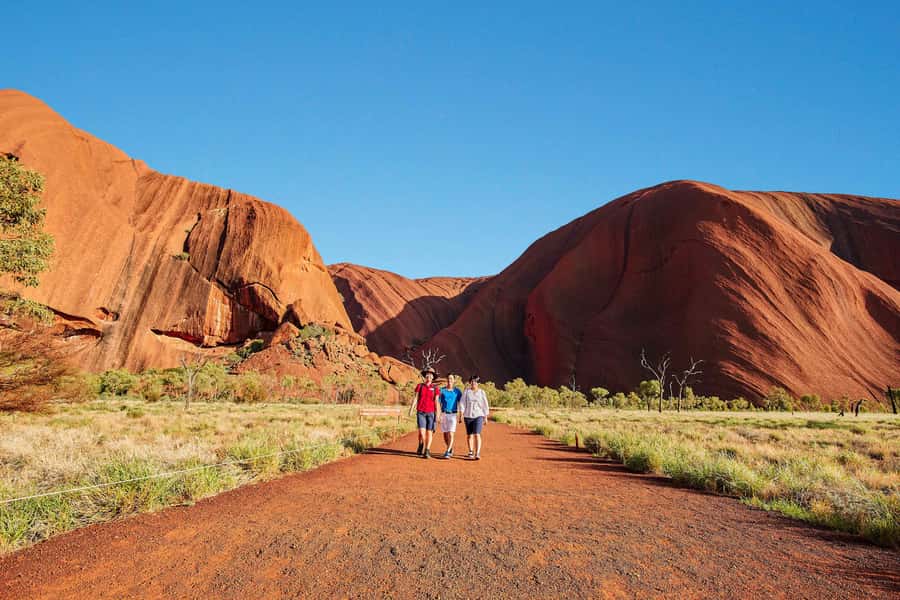 Uluru: Sacred Sites Tour + Sparkling at Sunset & BBQ Dinner - Dietary needs: how to make sure you actually enjoy dinner