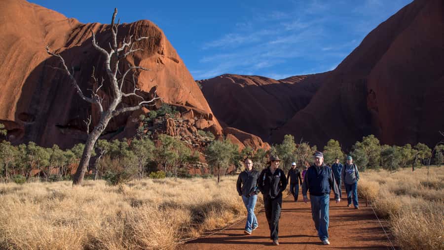 Uluru: Small Group Guided Tour with Sunset Refreshments - Key things to love about this Uluru sunset tour