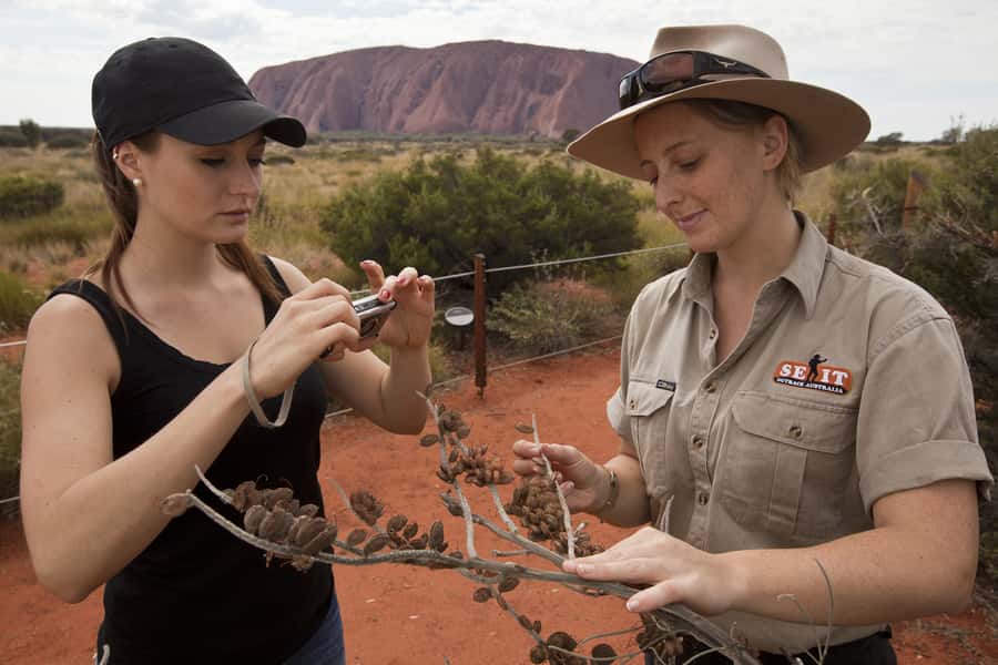 Uluru: Small Group Guided Tour with Sunset Refreshments - Mutitjulu Waterhole: Tjukurpa stories you can actually picture