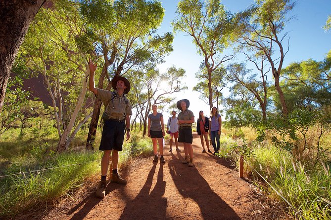 Uluru Small Group Tour including Sunset - Small-group Uluru sunset: why this setup works