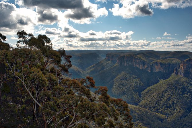 Unforgettable Blue Mountains Day Tour - Leura Lunch Stop: Choice in a Real Town