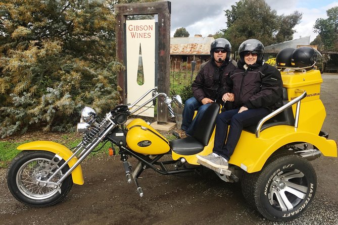 Unique Trike Barossa Valley Half Day Private Tour For 2 - Who should book this trike tour, and who should pause