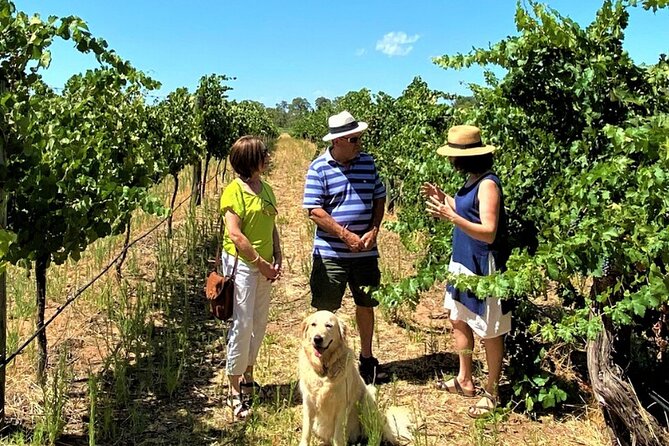 Upper Reach Winery: Swan Valley Winery and Vineyard Tour - Swan Valley Basics You’ll Actually Use