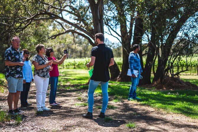 Upper Reach Winery: Swan Valley Winery and Vineyard Tour - Photos Everywhere, But Also Stop-For-Thought Stops