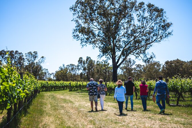 Upper Reach Winery: Swan Valley Winery and Vineyard Tour - Walking Through the Vines: Terroir in Plain Language