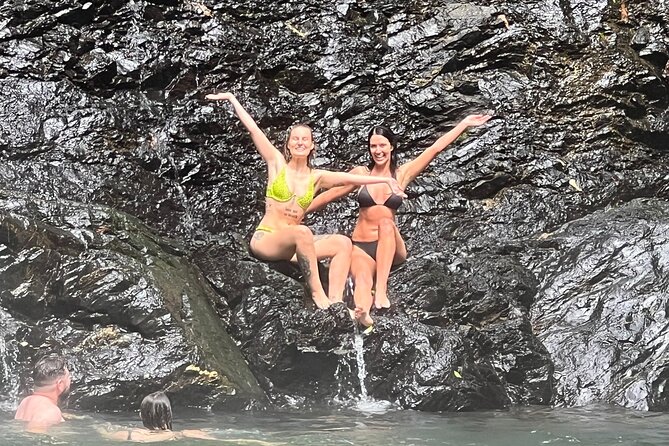 UTV 4wd Cassowary Falls and Daintree Rainforest Adventure tour - Key highlights you should care about