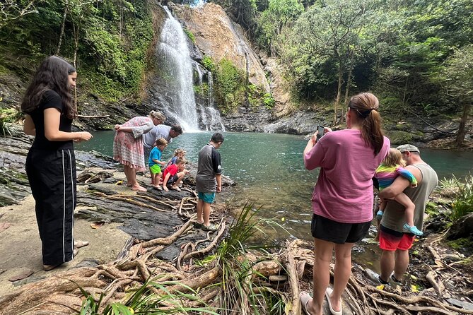 UTV 4wd Cassowary Falls and Daintree Rainforest Adventure tour - Who this tour fits: thrill seekers, families, and nature lovers