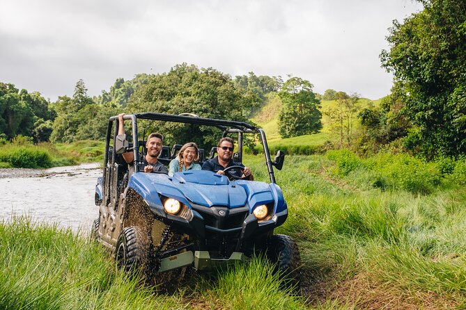UTV 4wd Cassowary Falls and Daintree Rainforest Adventure tour - Price and value: is $131.97 actually fair?