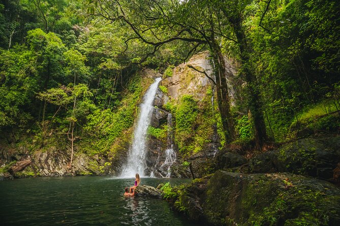 UTV 4wd Cassowary Falls and Daintree Rainforest Adventure tour - Should you book the UTV 4WD Cassowary Falls and Daintree Adventure?