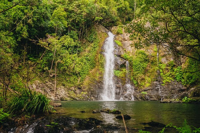 UTV 4wd Cassowary Falls and Daintree Rainforest Adventure tour - UTV 4WD and Army Truck: the off-road part that actually feels guided