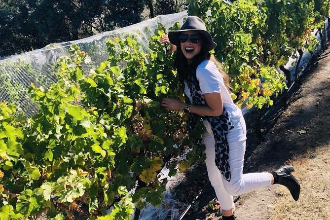 Valleys of Vino Full Day Tour - Derwent Estate (Derwent Valley): Your First Proper Tasting