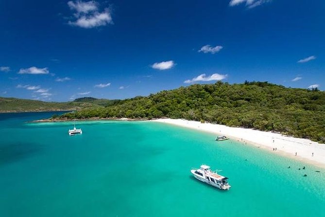 Viper: Great Barrier Reef Snorkel Including Whitehaven Hill Inlet - Crew style and safety: why this tour feels well-run