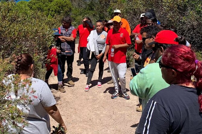 Walk on Country at Taananeditj (Rotary Lookout) - Who should book Walk on Country with Dabungool Cultural Experiences