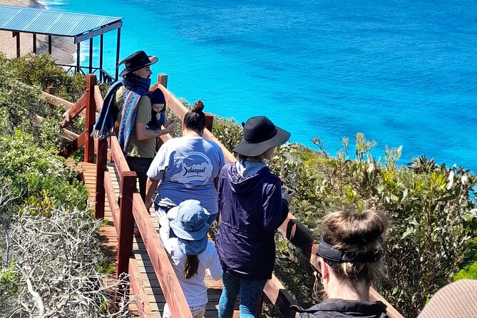 Walk on Country at Taananeditj (Rotary Lookout) - Bush tucker tasting: fruit and traditional foods with meaning