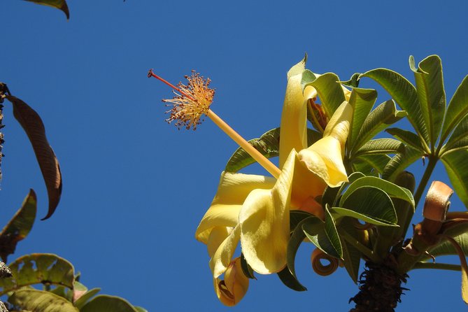 Walk the Darwin Botanic Gardens - Your One Main Stop: Touring 42 Hectares With a Story Guide