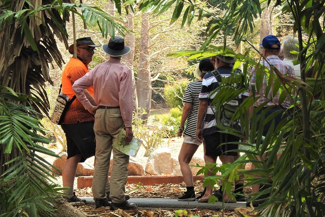 Walk the Darwin Botanic Gardens - What to Bring (So You Don’t Cut the Tour Short)