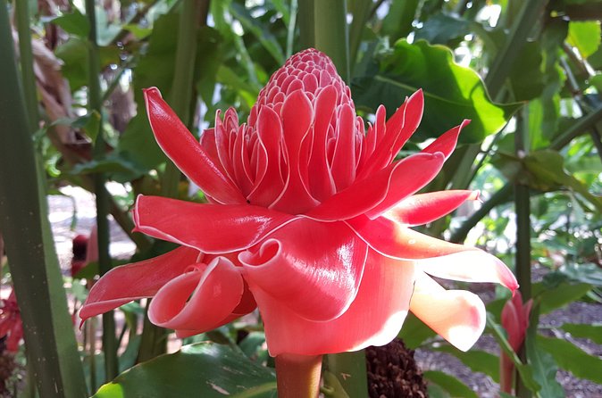 Walk the Darwin Botanic Gardens - Who Should Book This Darwin Botanic Gardens Walk?