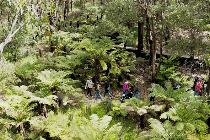 Walk with Wildlife: Guided Tour in Great Ocean Road - Why this 75-minute wildlife walk fits the Great Ocean Road