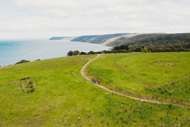 Walk with Wildlife: Guided Tour in Great Ocean Road - Price and value: is $42.32 worth it?