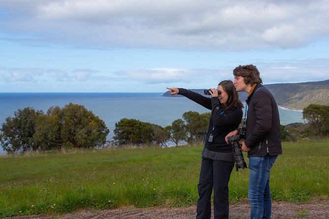 Walk with Wildlife: Guided Tour in Great Ocean Road - The 1.4 km all-abilities path: what you’ll actually walk through