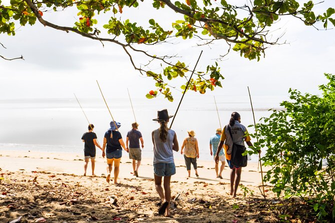 Walkabout Cultural Adventures - Ngana Julaymba Dungay Full Day - Lunch with tropical fruit and Daintree tea: simple, included, and on-theme