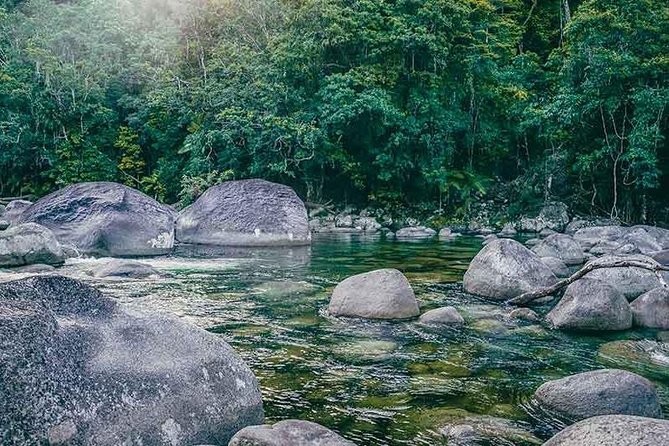 Walkabout Cultural Adventures - Ngana Julaymba Dungay Half Day - Daintree Rainforest Walking Time: World Heritage, Explained by a Local Guide