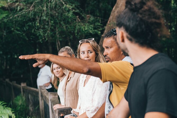 Walkabout Cultural Adventures - Ngana Kulkinga Dungay Full Day - Daintree National Park walking time: boardwalks, beach, and changing scenes