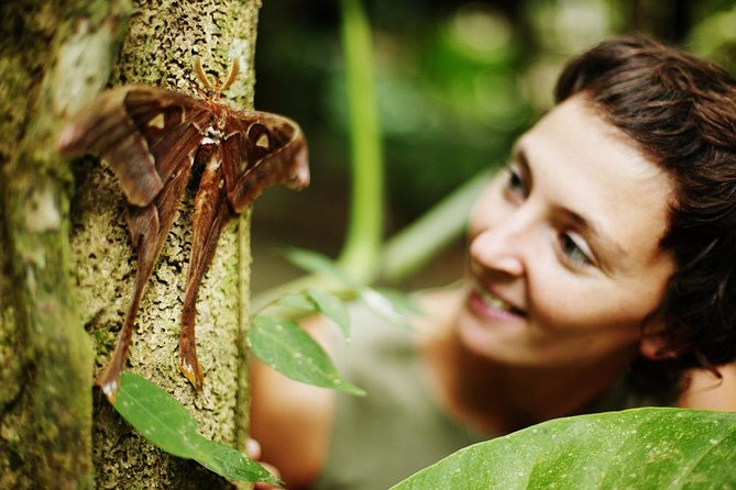 Walkabout Cultural Adventures - Ngana Kulkinga Dungay Full Day - Wildlife chances: cassowary and crocodile spotting
