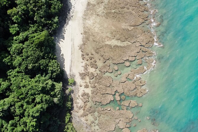 Walkabout Cultural Adventures - Ngana Kulkinga Dungay Full Day - Stop 1: Daintree River cable car ferry (short, scenic, and useful)