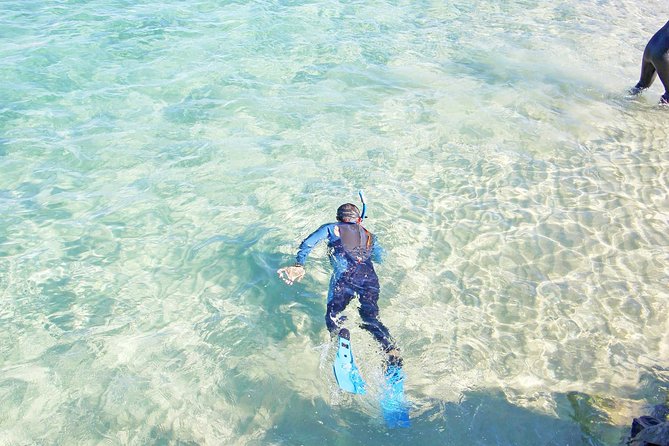Wave Break Island Snorkel Tour on the Gold Coast - Key Takeaways Before You Go