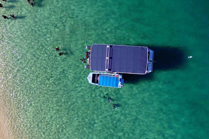 Wave Break Island Snorkel Tour on the Gold Coast - Practical Tips for Enjoying It Most