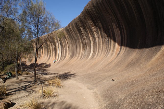 Wave Rock and Pinnacles Air & Ground Tour - Key things I’d bank on before you go
