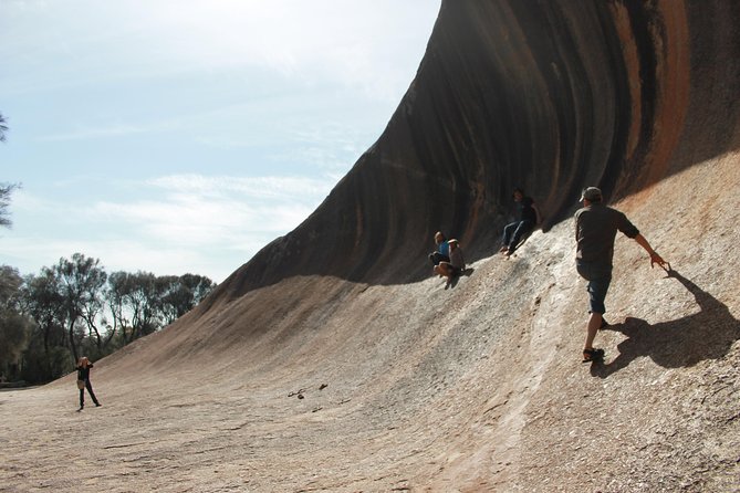Wave Rock and Pinnacles Air & Ground Tour - Endless Beach from the sky: why the flight loop matters