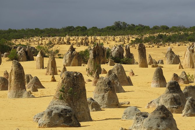 Wave Rock and Pinnacles Air & Ground Tour - Who should book this tour (and who might not)