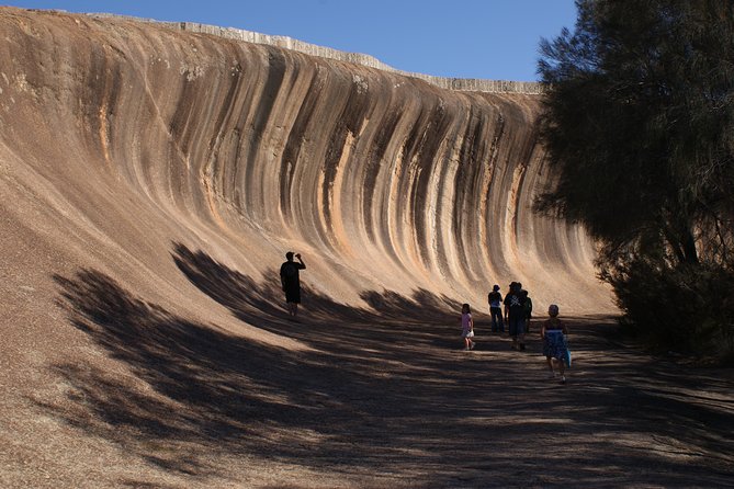 Wave Rock, Pinnacles and Rottnest One Day Aeroplane Tour - Key things that make this tour work